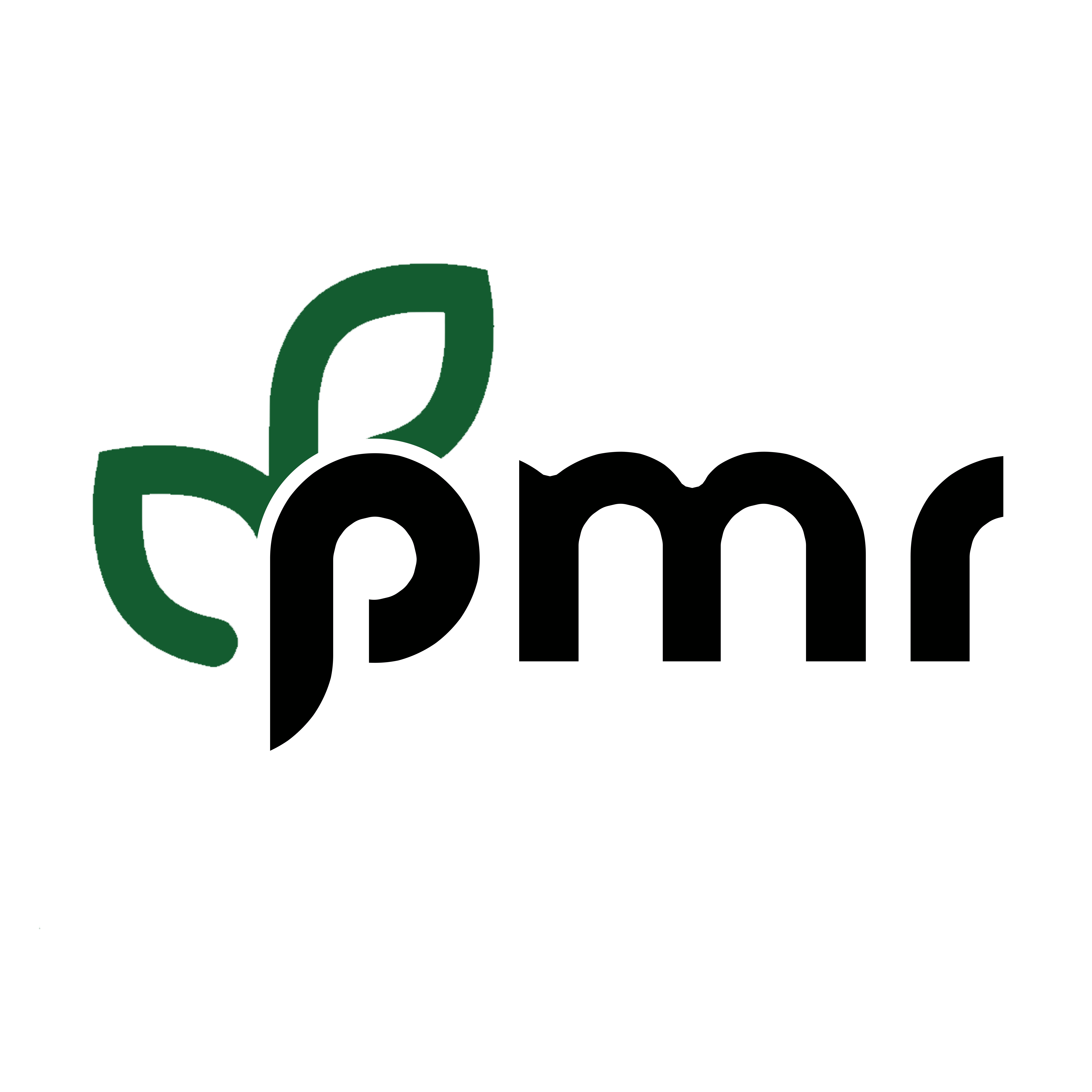pmr